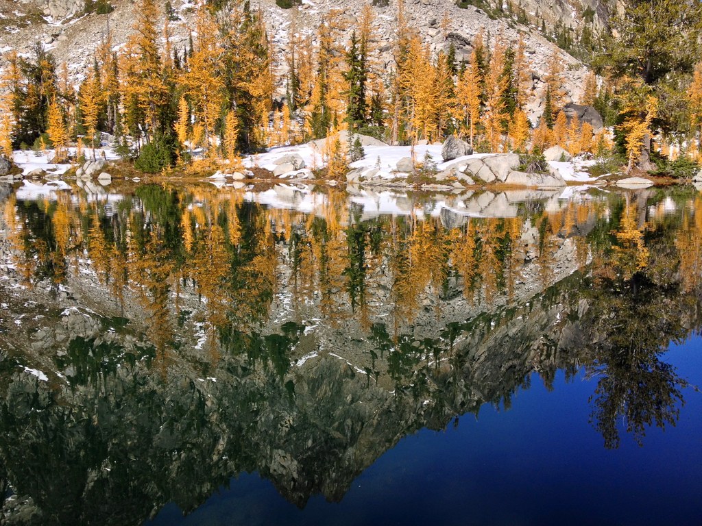 Horseshoe Lake — Washington Trails Association